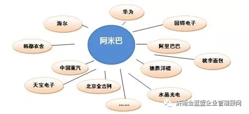 阿米巴 一種經(jīng)營(yíng)方式與企業(yè)管理的落地實(shí)踐